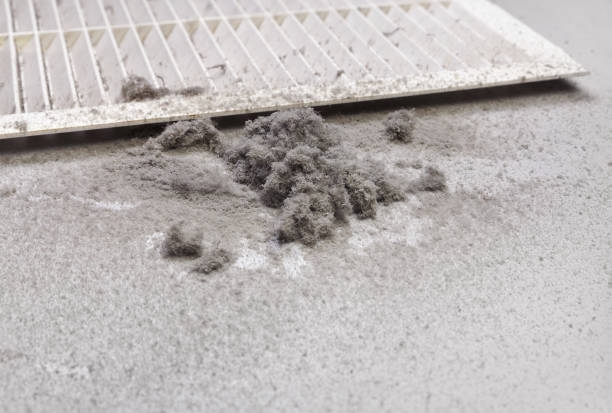 Best Air Duct Sanitizing Services  in Clton, IN