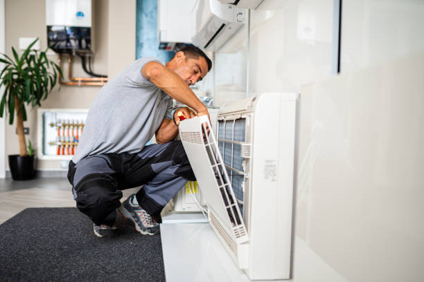 Best Home Air Vent Cleaning  in Clton, IN